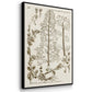 Sepia Botanical Journal IV - Floater Framed Canvas Set