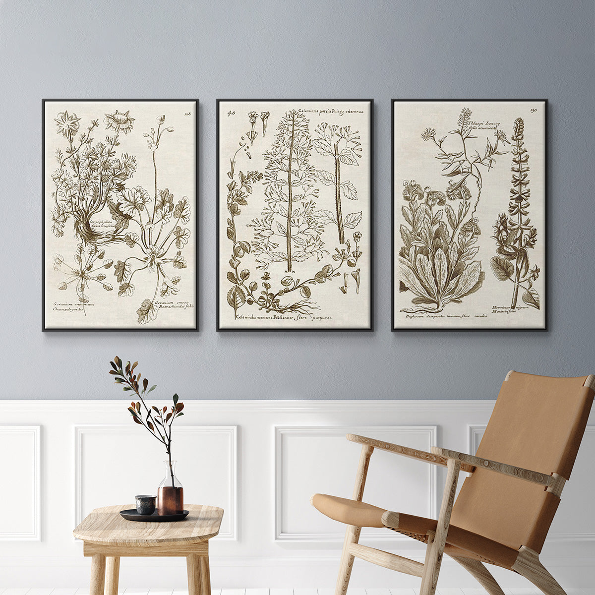 Sepia Botanical Journal IV - Floater Framed Canvas Set