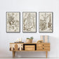 Sepia Botanical Journal IV - Floater Framed Canvas Set