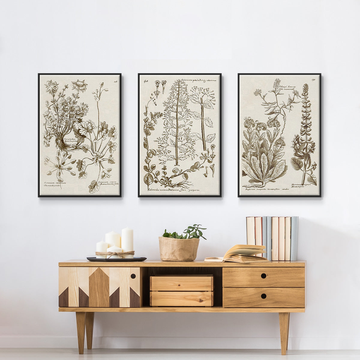 Sepia Botanical Journal IV - Floater Framed Canvas Set