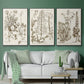Sepia Botanical Journal IV - Floater Framed Canvas Set
