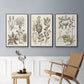 Sepia Botanical Journal VI - Floater Framed Canvas Set