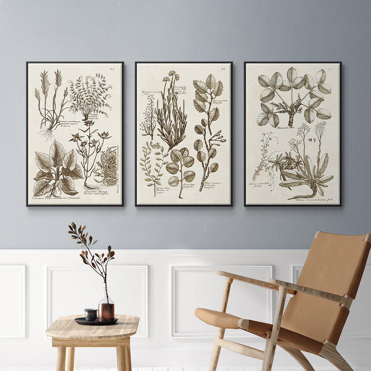 Sepia Botanical Journal VI - Floater Framed Canvas Set