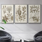 Sepia Botanical Journal VI - Floater Framed Canvas Set