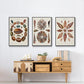 Spiral Shell Formation I - Floater Framed Canvas Set