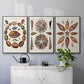 Spiral Shell Formation I - Floater Framed Canvas Set