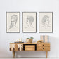 Greek Busts I - Floater Framed Canvas Set
