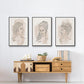 Greek Busts IV - Floater Framed Canvas Set
