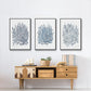 Summer Herb Garden Sketches I - Floater Framed Canvas Set