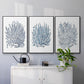 Summer Herb Garden Sketches I - Floater Framed Canvas Set