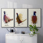 Pheasant Splash 3 - Floater Framed Canvas Set