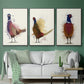 Pheasant Splash 3 - Floater Framed Canvas Set