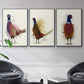 Pheasant Splash 3 - Floater Framed Canvas Set