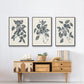 Growing Leaves I - Floater Framed Canvas Set