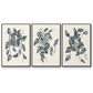 Growing Leaves IV - Floater Framed Canvas Set