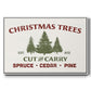 Christmas Farm Sign I - Floater Framed Canvas Print
