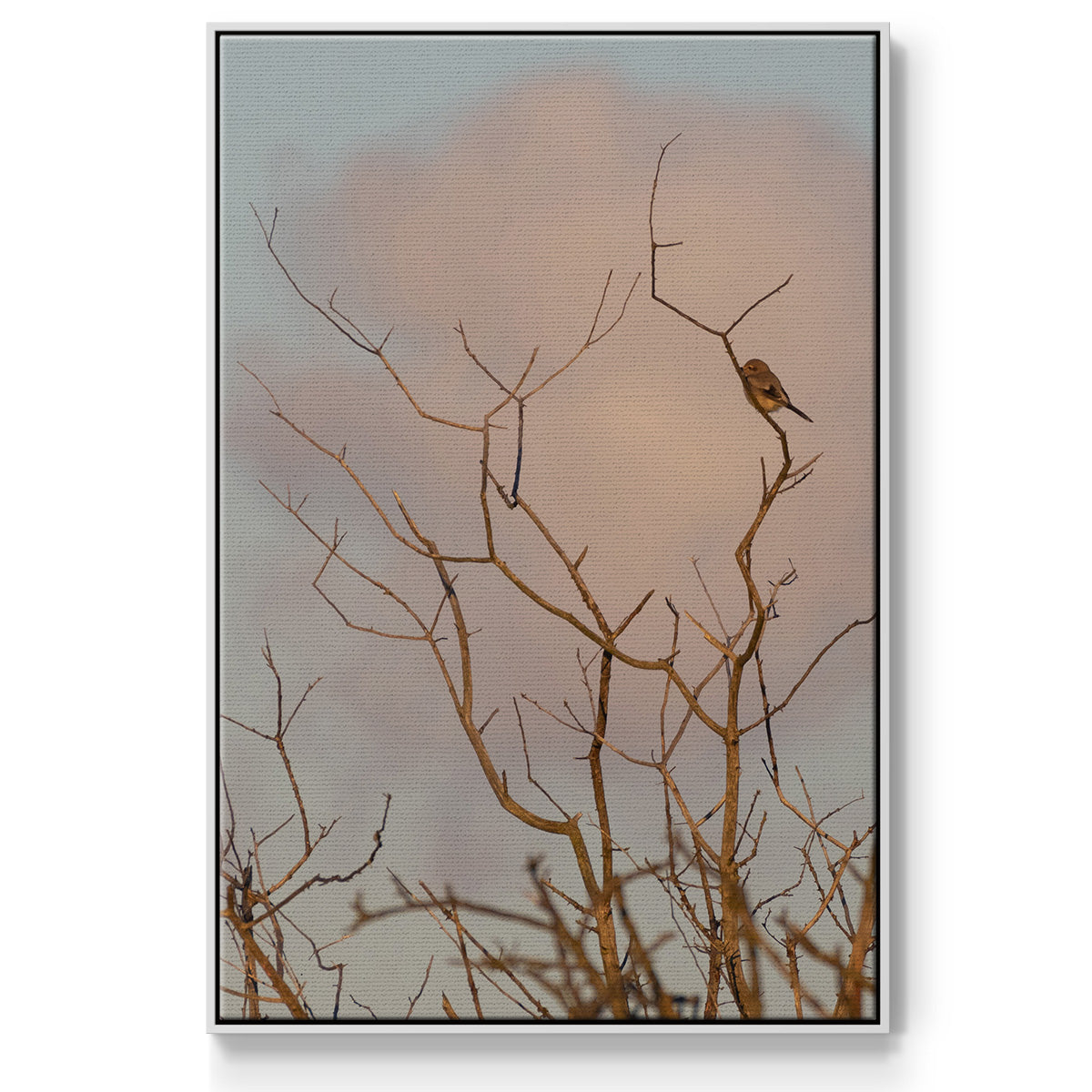 At Dawn - Floater Framed Canvas Print