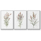 Dainty Botanical I - Floater Framed Canvas Set
