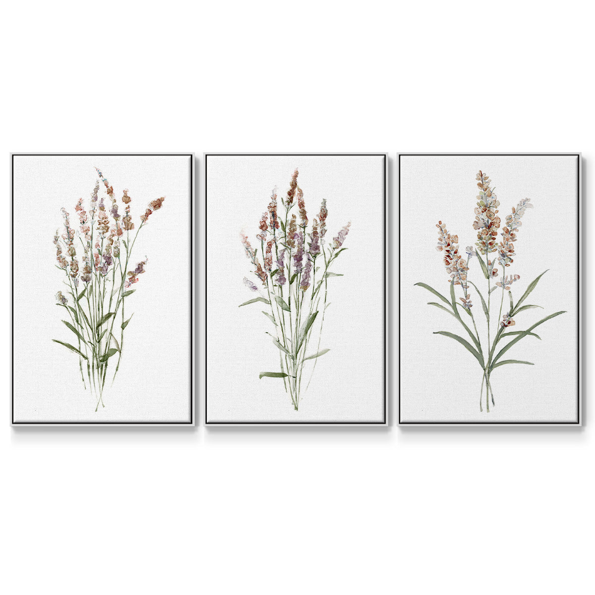 Dainty Botanical I - Floater Framed Canvas Set