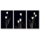 Tulip Pose I - Floater Framed Canvas Set