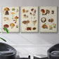 Mushroom Species I - Floater Framed Canvas Set