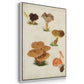 Mushroom Species IV - Floater Framed Canvas Set