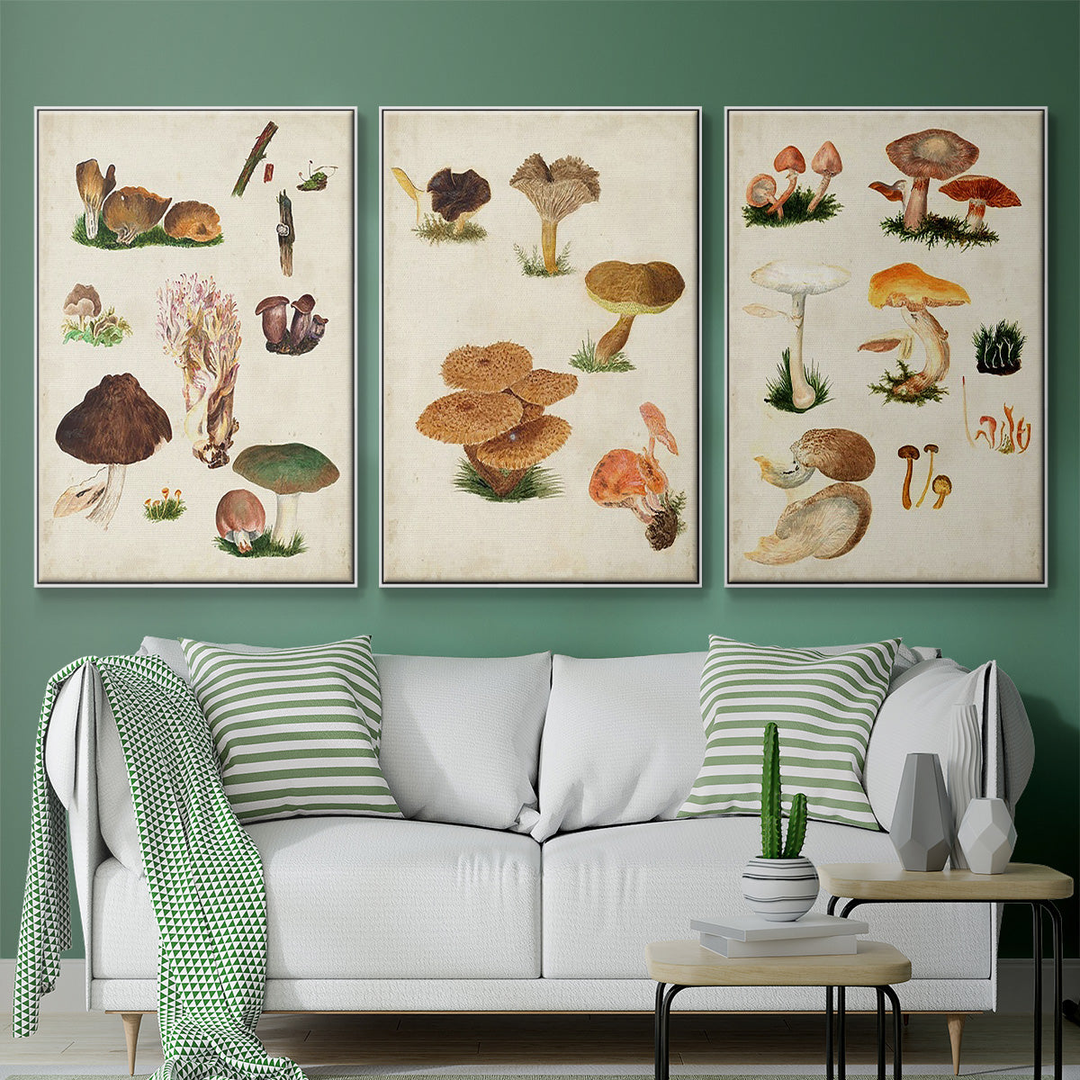 Mushroom Species IV - Floater Framed Canvas Set