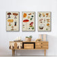 Mushroom Species VI - Floater Framed Canvas Set