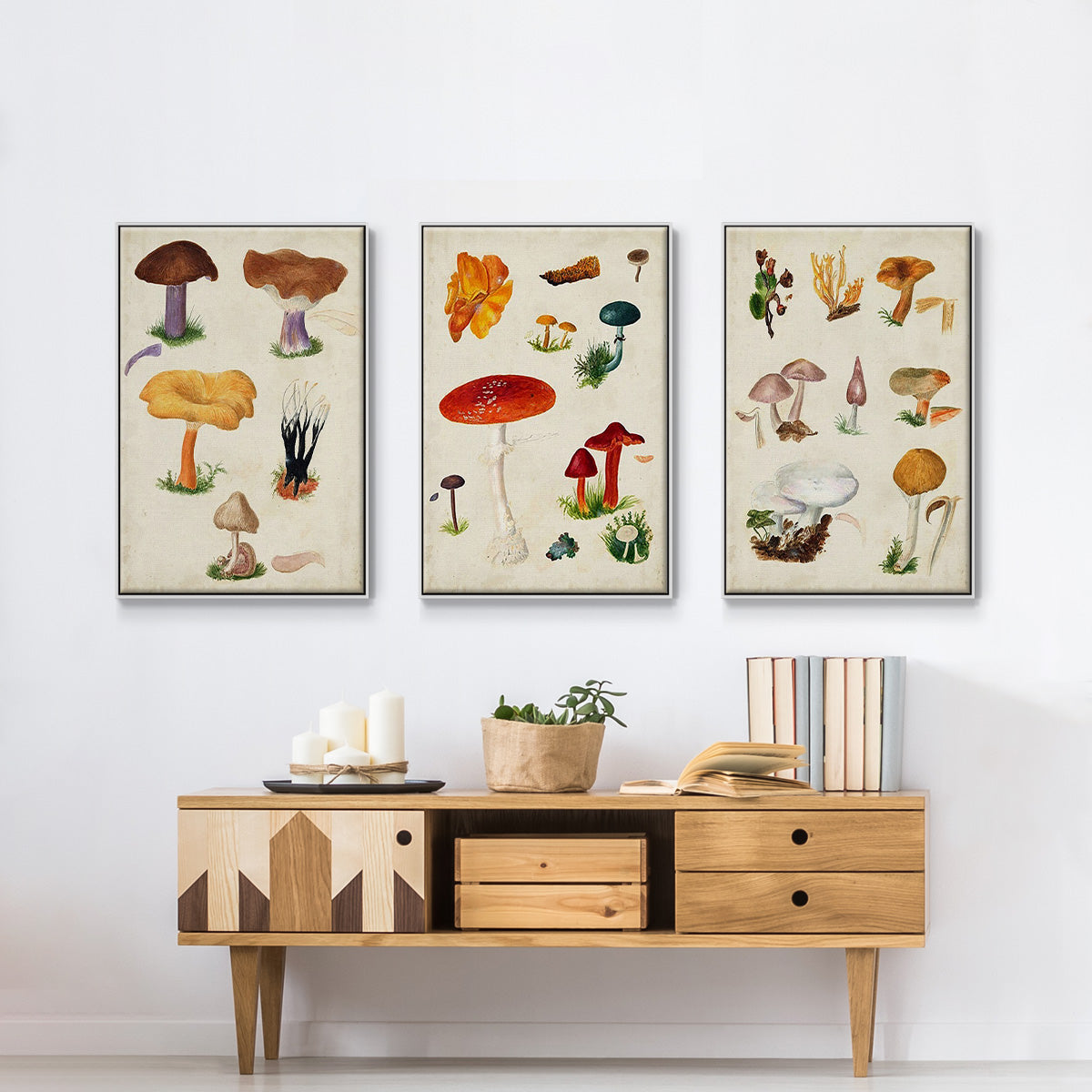Mushroom Species VI - Floater Framed Canvas Set