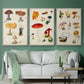 Mushroom Species VI - Floater Framed Canvas Set