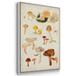 Mushroom Species X - Floater Framed Canvas Set