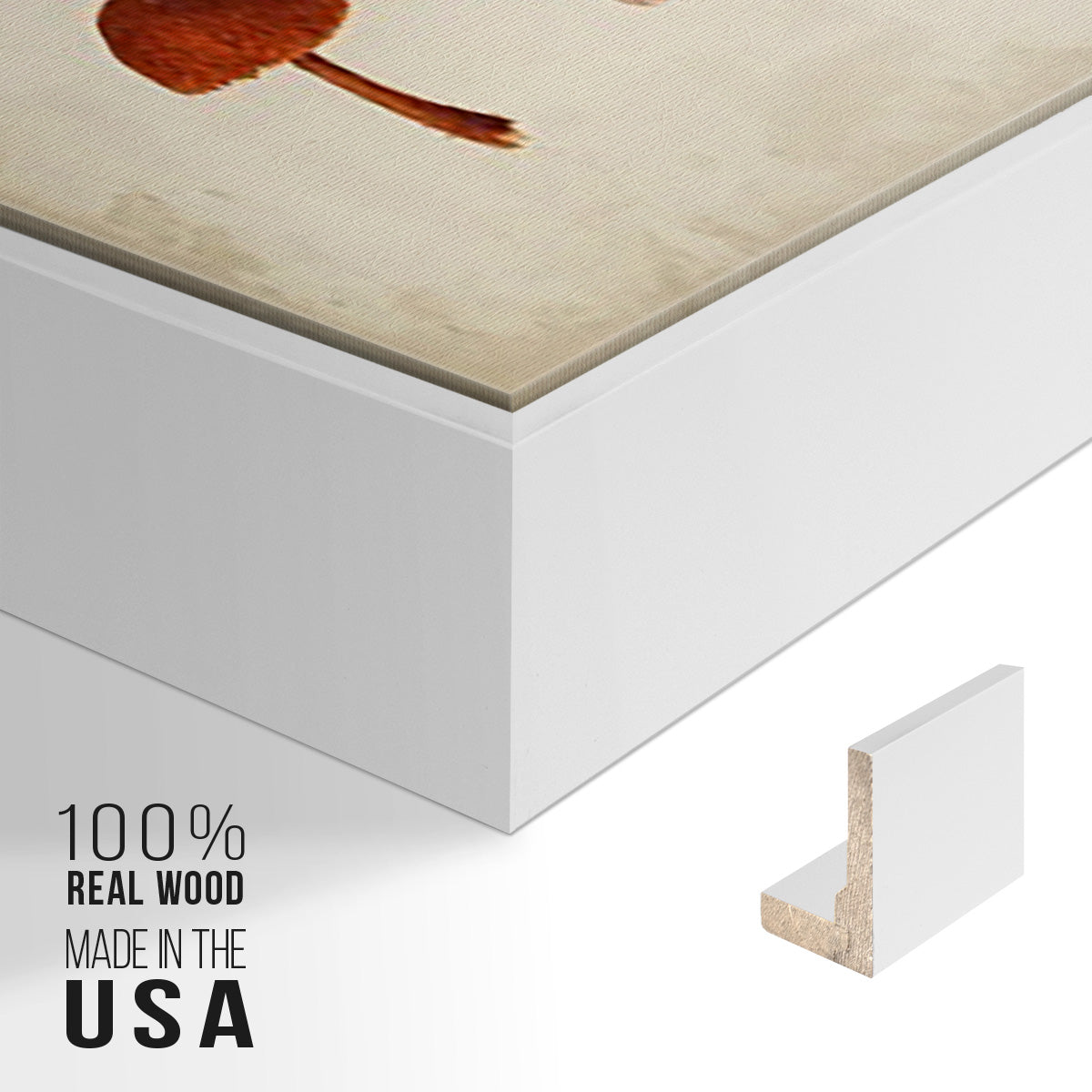 Mushroom Species X - Floater Framed Canvas Set