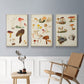 Mushroom Species X - Floater Framed Canvas Set