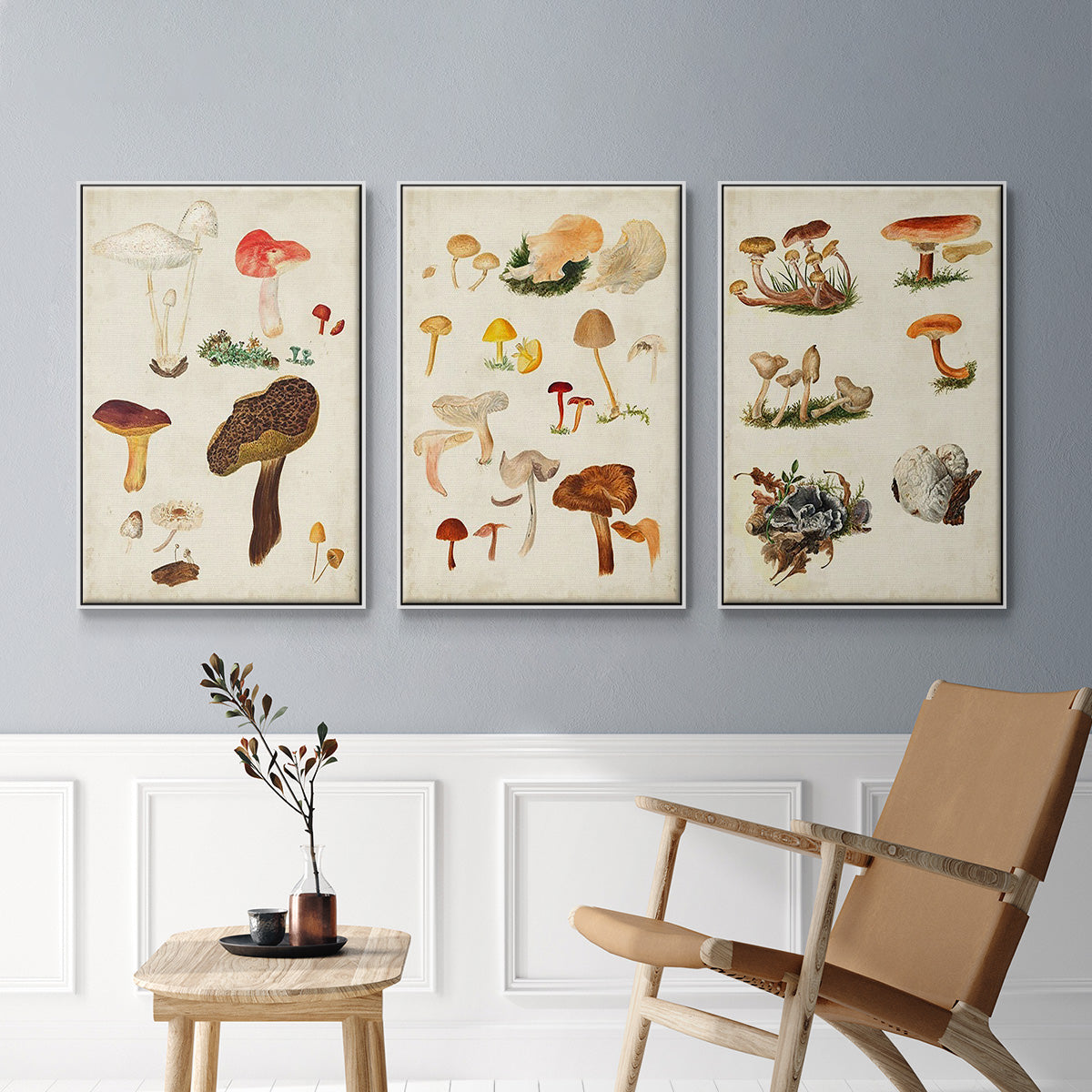 Mushroom Species X - Floater Framed Canvas Set