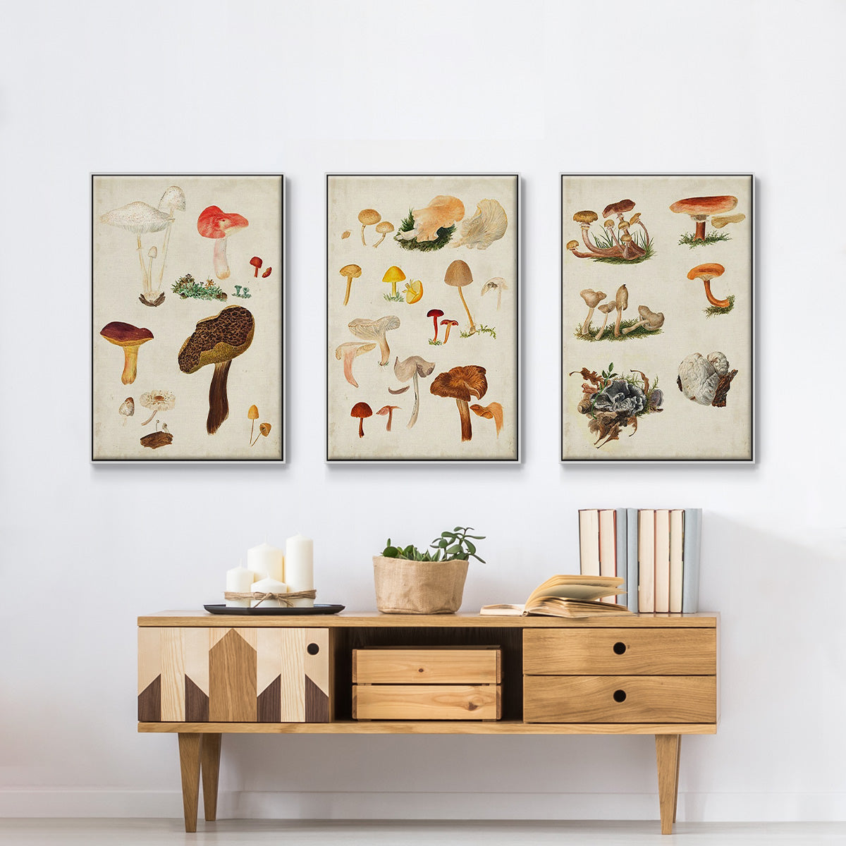Mushroom Species X - Floater Framed Canvas Set