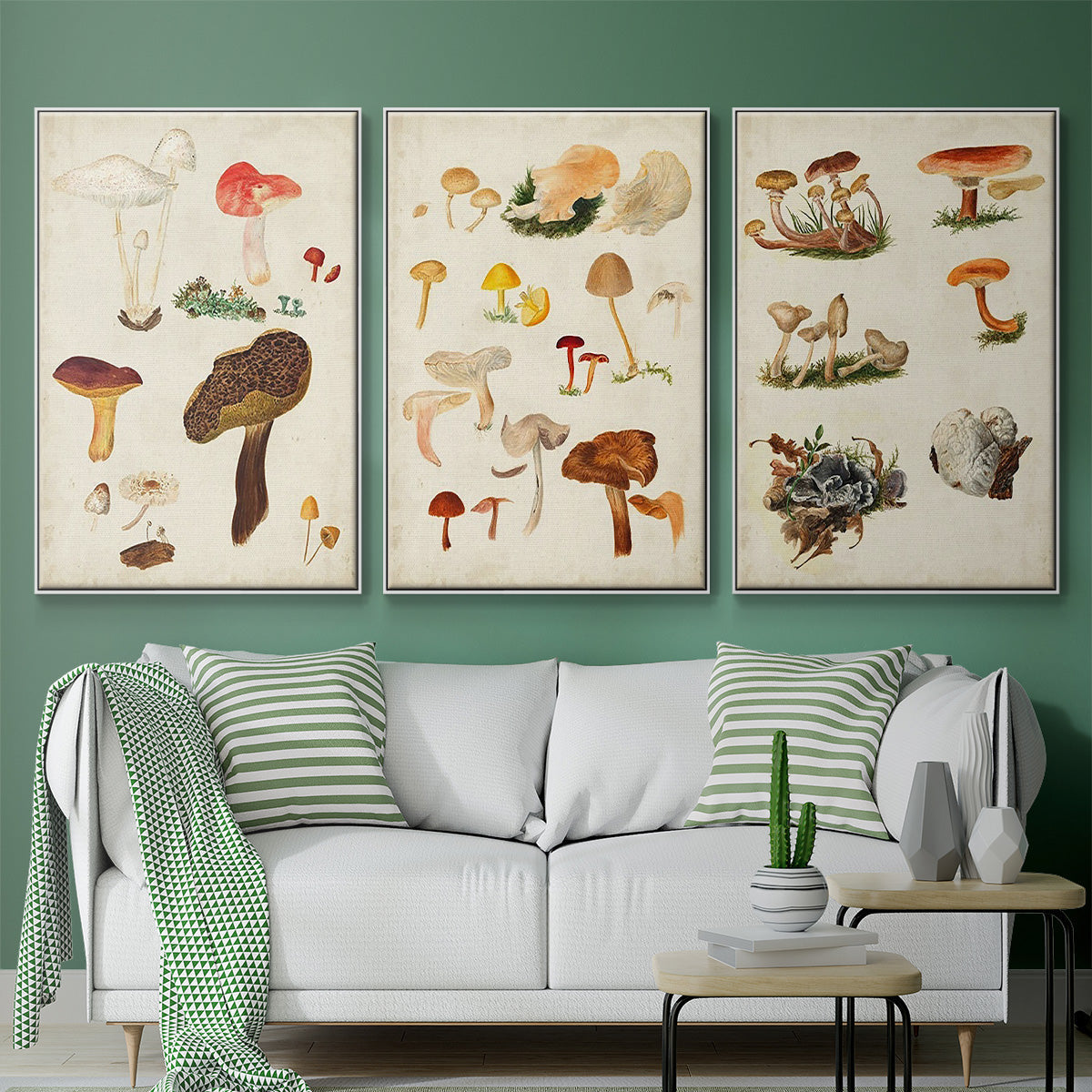 Mushroom Species X - Floater Framed Canvas Set