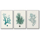 Antique Coastal Coral IV - Floater Framed Canvas Set