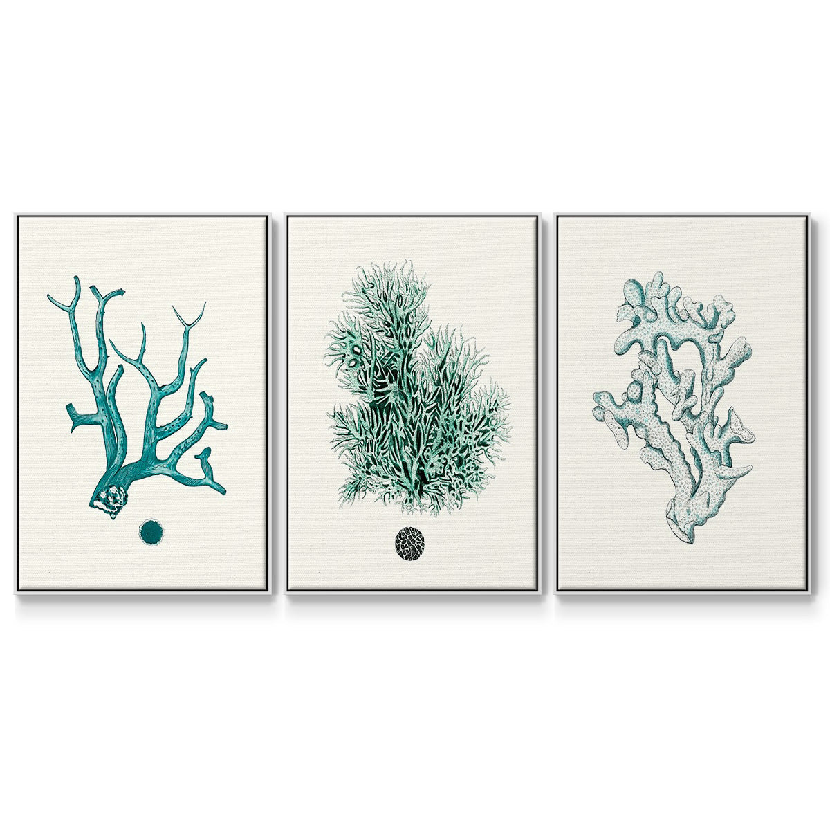 Antique Coastal Coral IV - Floater Framed Canvas Set