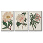 Pink Floral Mix VI - Floater Framed Canvas Set