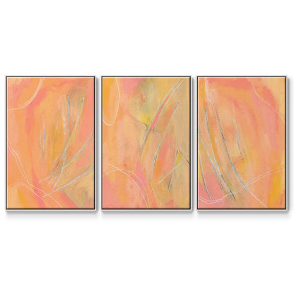 Peach Bliss I - Floater Framed Canvas Set