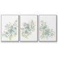 Seafoam Petals I - Floater Framed Canvas Set