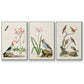Antique Birds in Nature IV - Floater Framed Canvas Set
