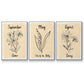 Birth Month IV - Floater Framed Canvas Set