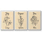 Birth Month VI - Floater Framed Canvas Set