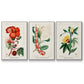 Turpin Tropical Botanicals VI - Floater Framed Canvas Set