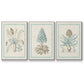 Willow Blue Besler IV - Floater Framed Canvas Set