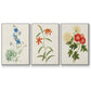 Flowers of the Seasons I - Floater Framed Canvas Set