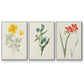 Flowers of the Seasons IV - Floater Framed Canvas Set