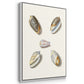 Pastel Knorr Shells I - Floater Framed Canvas Set