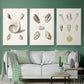 Pastel Knorr Shells I - Floater Framed Canvas Set